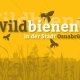Buchgestaltung Wildbienen Osnabrück